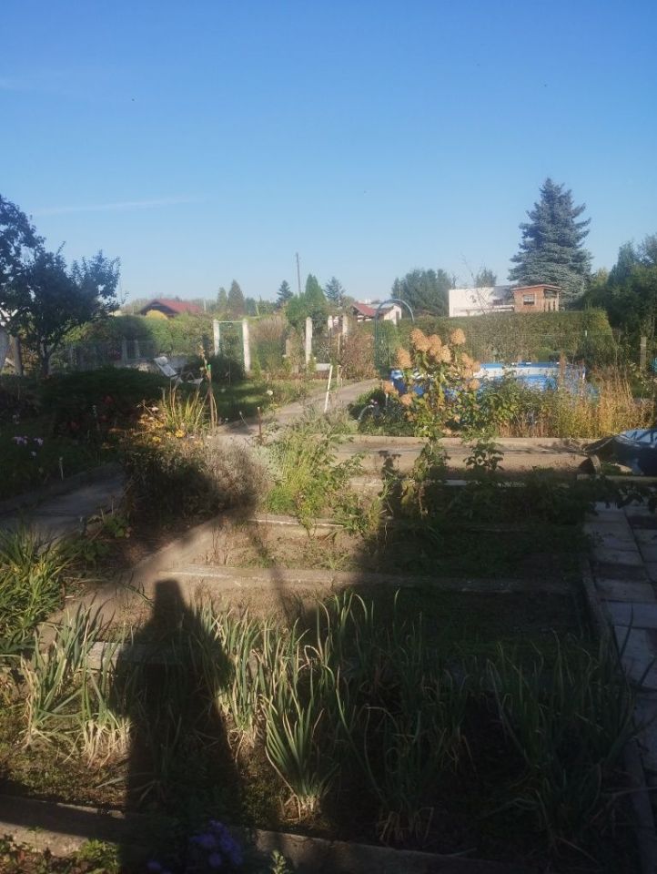 Działka rod Ruda Śląska Bielszowice, ul. Marii Konopnickiej. Zdjęcie 2