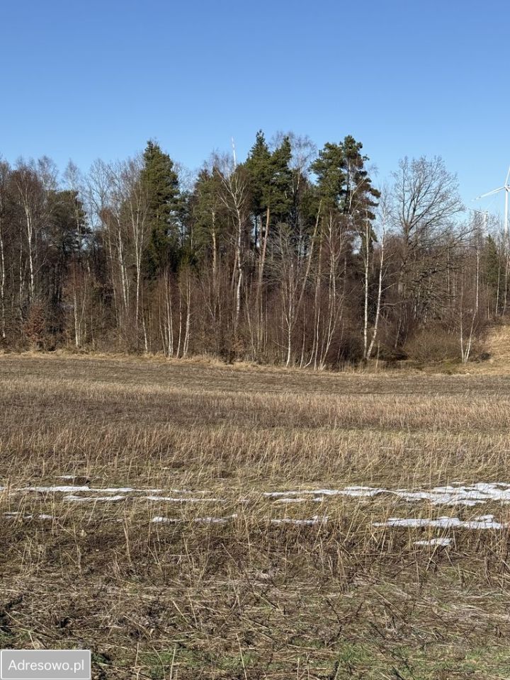 Działka siedliskowa Chrzanowo. Zdjęcie 10
