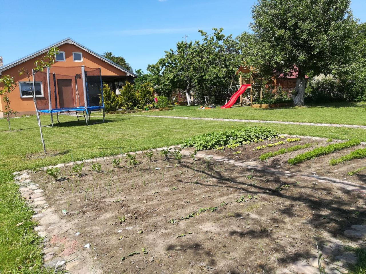 Działka rod Złocieniec. Zdjęcie 2