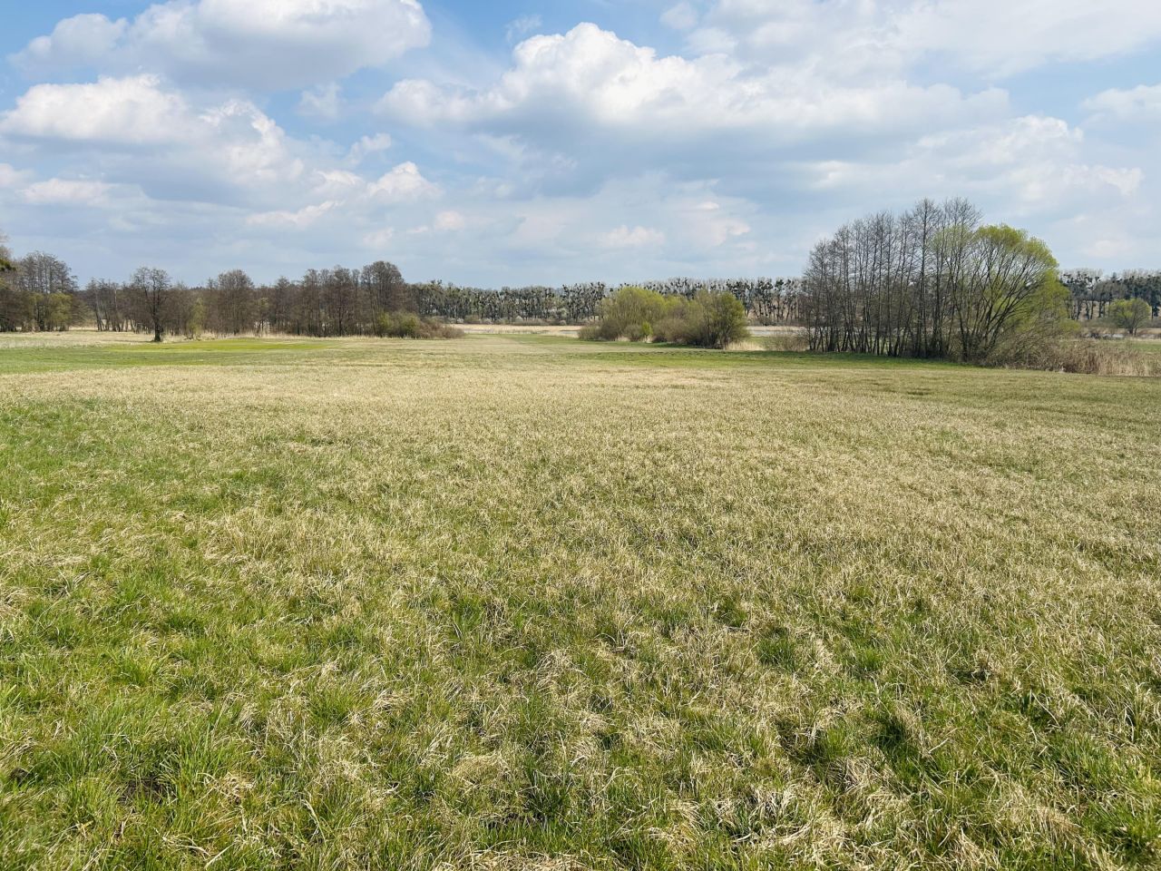 Działka budowlana Wrzeszewo. Zdjęcie 4