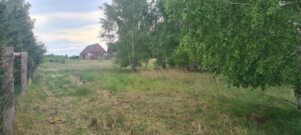 Działka rolna Krasnołęka. Zdjęcie 1