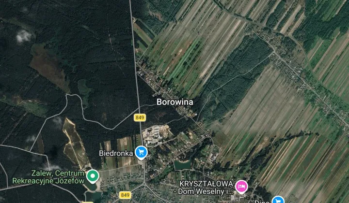 Działka leśna Borowina