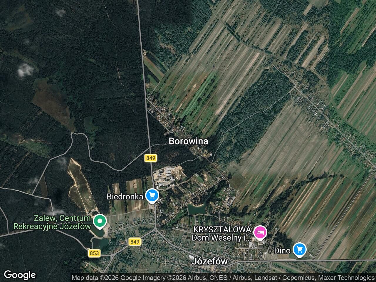 Działka leśna Borowina. Zdjęcie 1