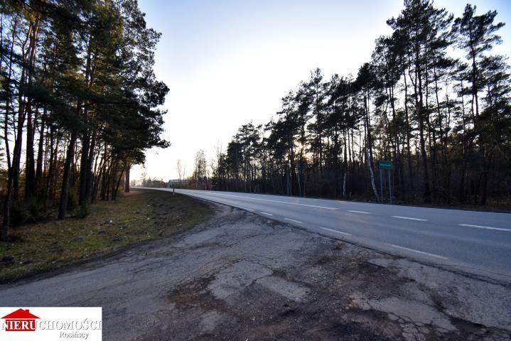 Działka leśna Stanisławów. Zdjęcie 11