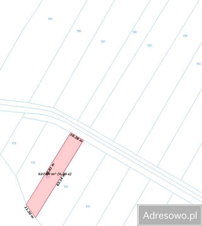 Działka rolna Dębno. Zdjęcie 2