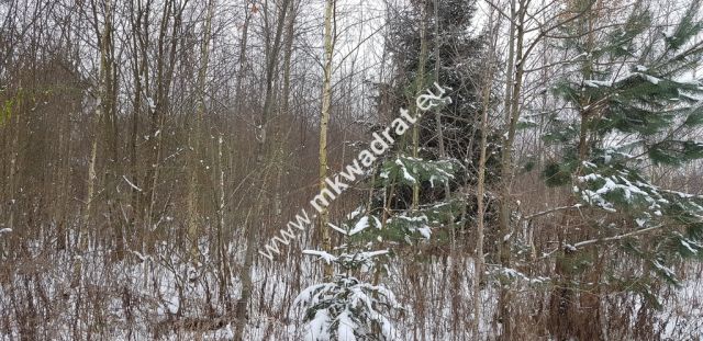 Działka inwestycyjna Marków-Towarzystwo. Zdjęcie 4