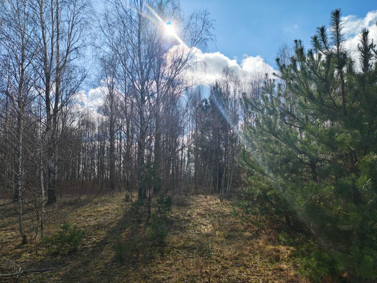 Działka budowlana Mlęcin. Zdjęcie 8