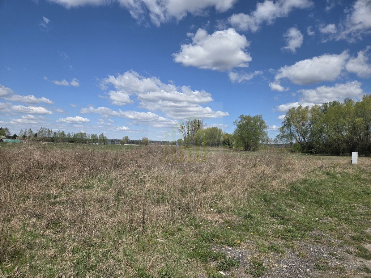 Działka inwestycyjna Kopiska. Zdjęcie 2