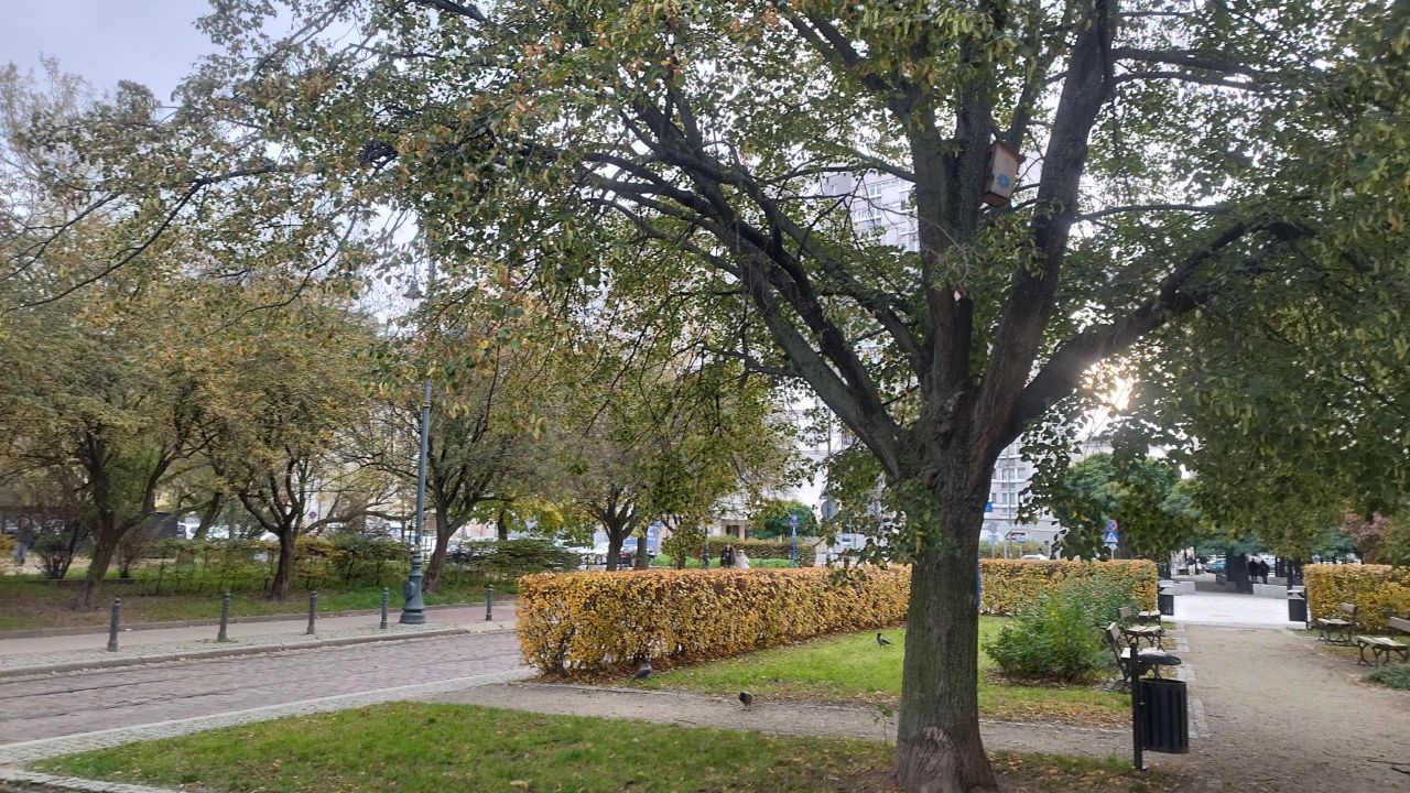 Mieszkanie 2-pokojowe Warszawa Wola, ul. Chłodna. Zdjęcie 16
