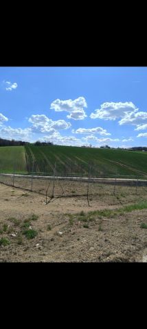 Działka rolna Tochołów. Zdjęcie 1