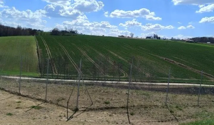 Działka rolna Tochołów