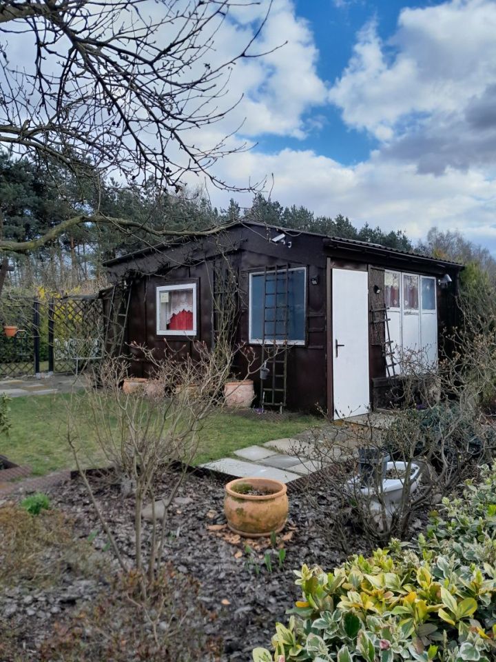 Działka rod Zduńska Wola. Zdjęcie 1