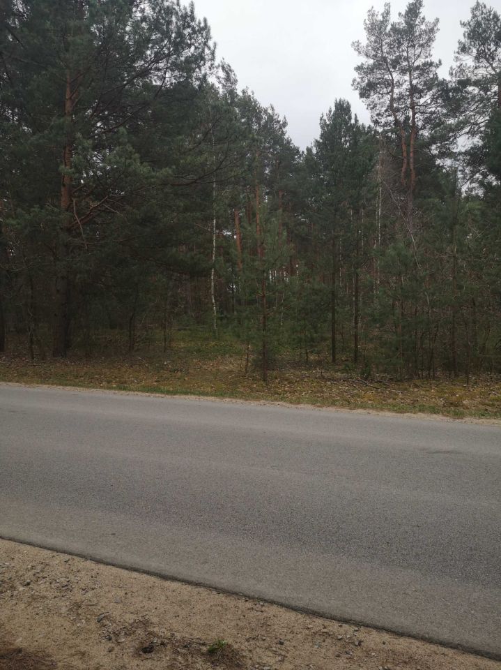 Działka leśna Wólka Kokosia. Zdjęcie 3