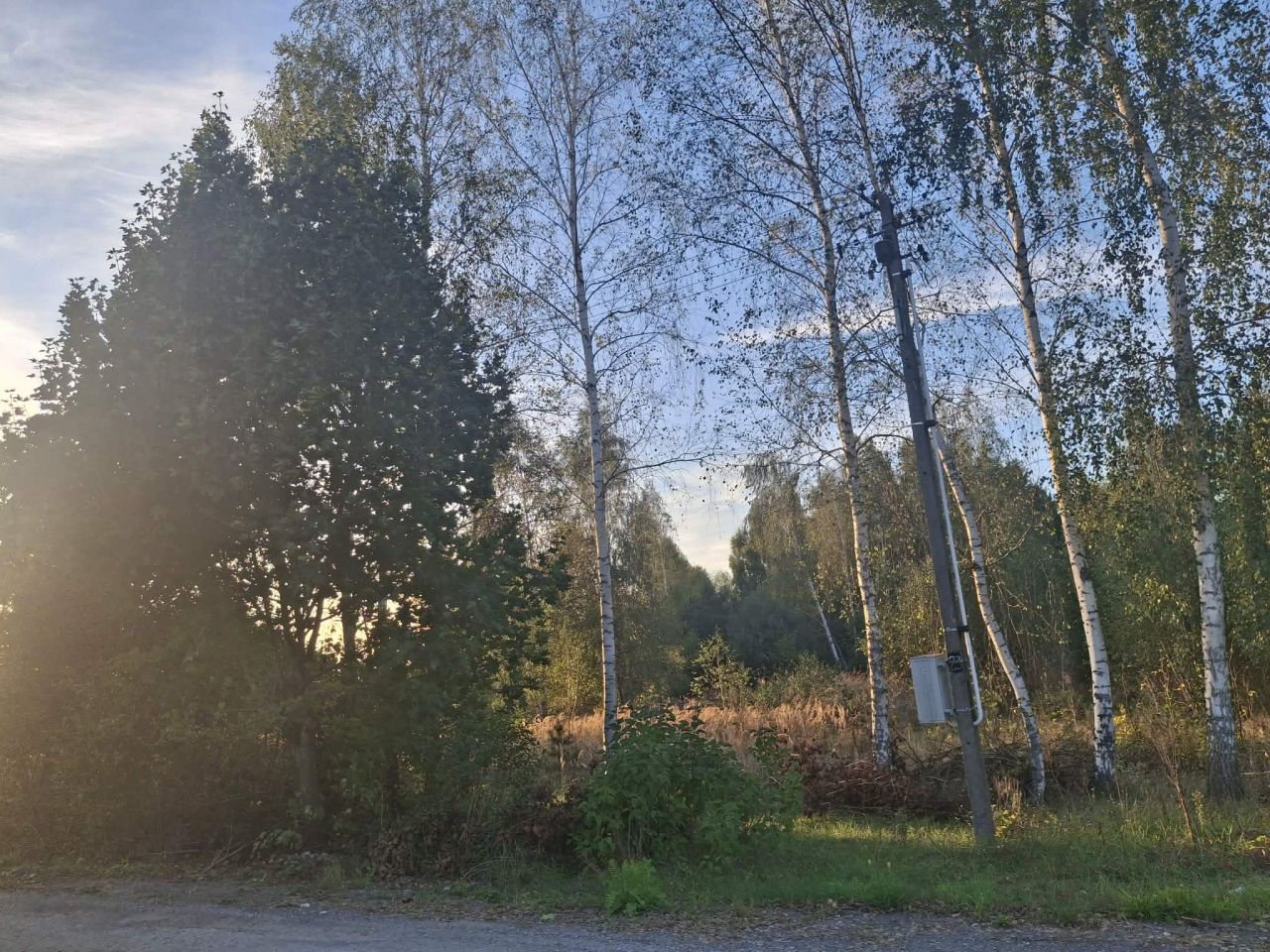Działka rolno-budowlana Dębniak. Zdjęcie 2