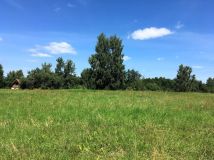 Działka siedliskowa Nasy. Zdjęcie 4