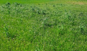 Działka budowlana Chwarzenko