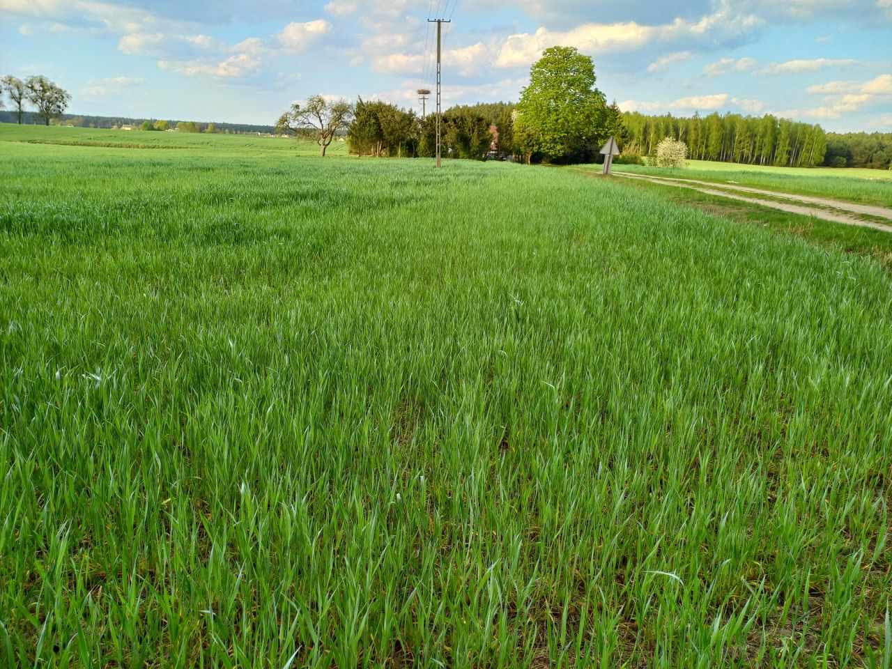 Działka budowlana Dębowiec. Zdjęcie 2