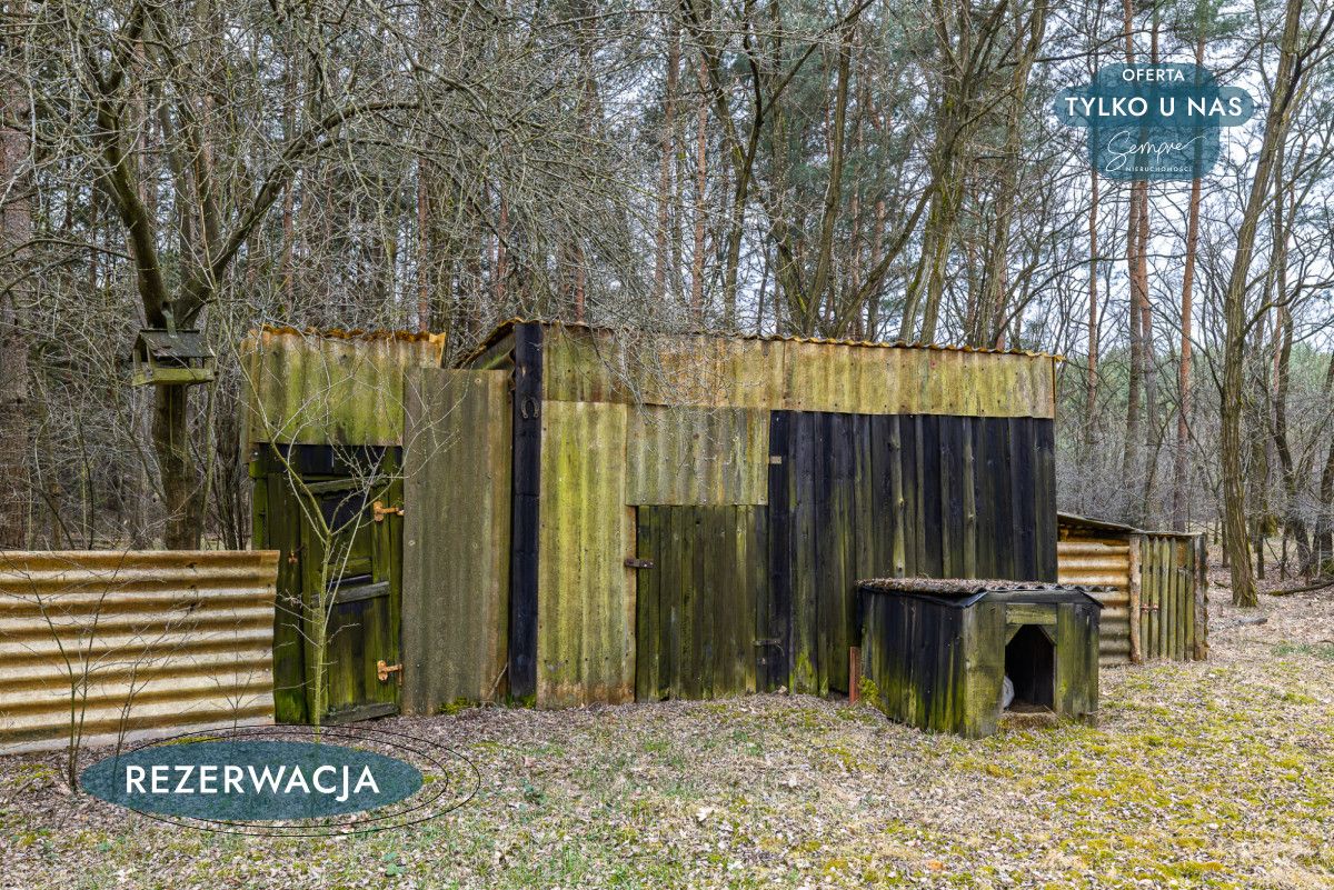 Działka leśna Kije. Zdjęcie 17