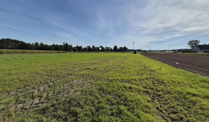 Działka budowlana Ruda