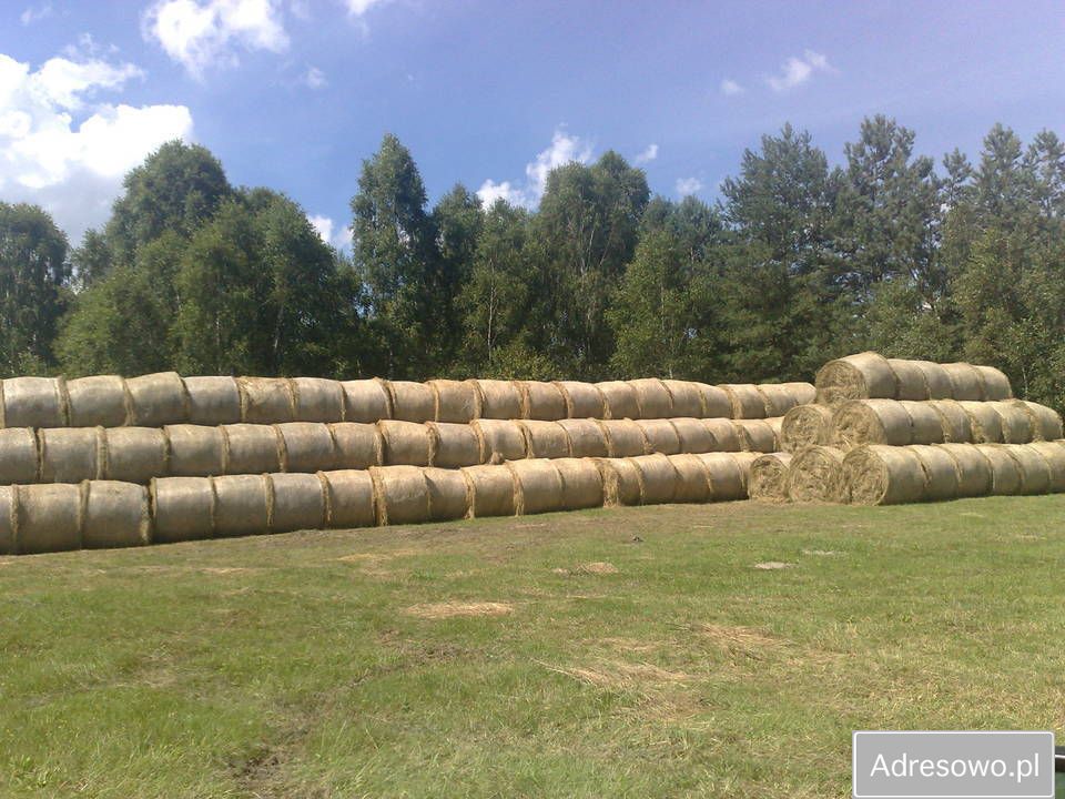 Działka inwestycyjna Hola. Zdjęcie 2