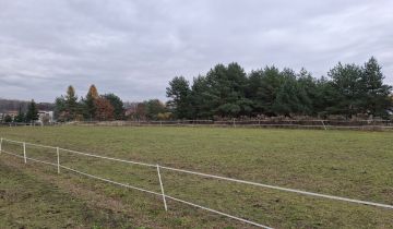 Działka rekreacyjna Mysłowice Dziećkowice, ul. Jana Długosza