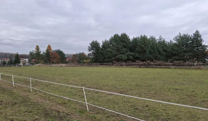 Działka rekreacyjna Mysłowice Dziećkowice, ul. Jana Długosza