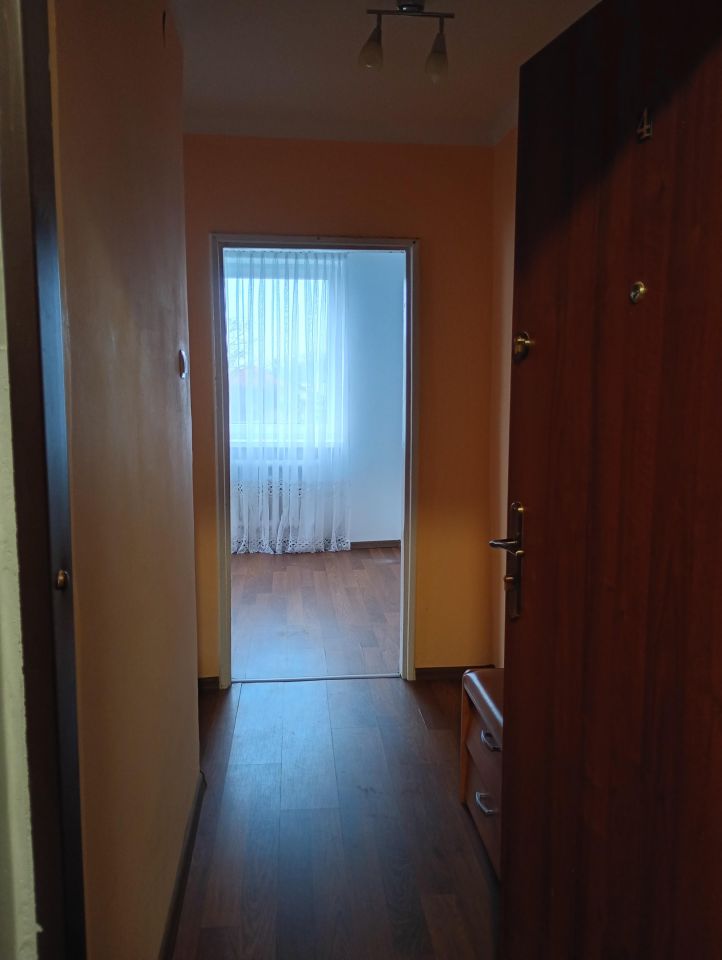 Mieszkanie 1-pokojowe Nasiegniewo. Zdjęcie 4