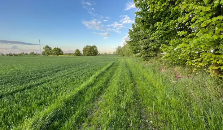Działka budowlana Imbramowice
