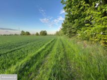 Działka budowlana Imbramowice