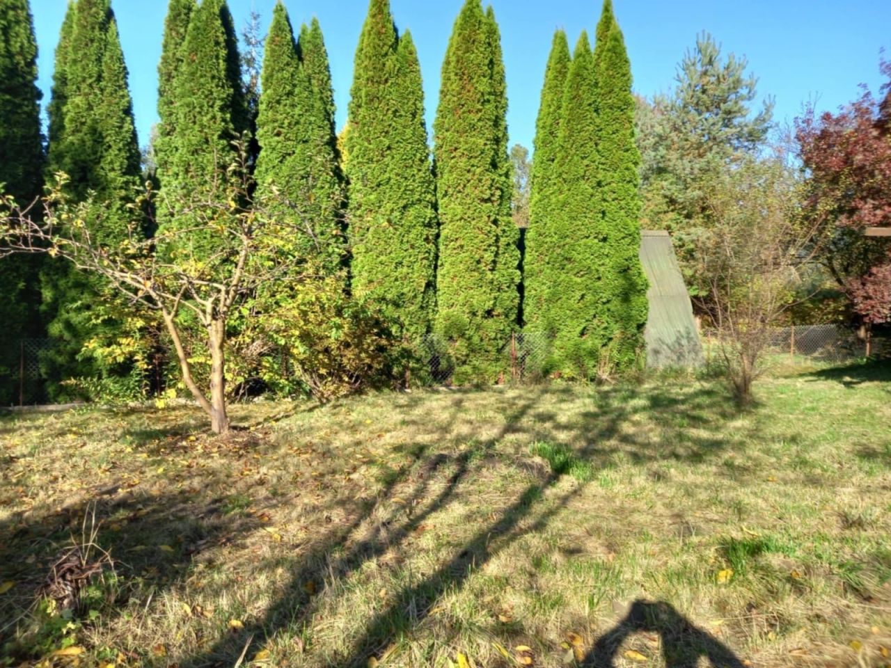 Działka rod Płock. Zdjęcie 2