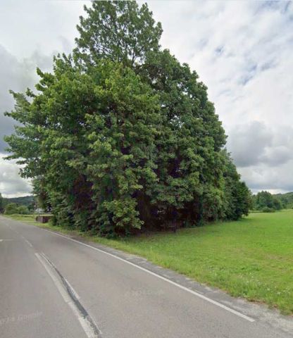 Działka rolno-budowlana Bondyrz. Zdjęcie 1