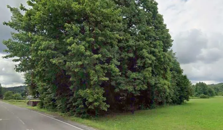 Działka rolno-budowlana Bondyrz