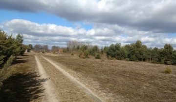 Działka budowlana Chinów