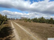 Działka budowlana Chinów. Zdjęcie 1