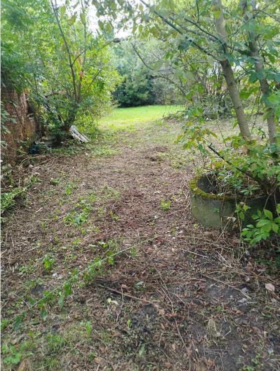 Działka rolno-budowlana Nowa Wieś. Zdjęcie 3