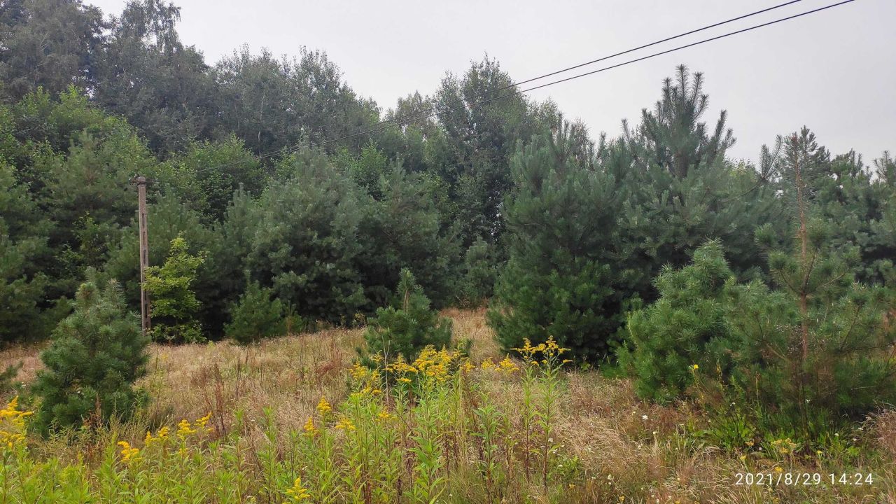 Działka budowlana Grabina. Zdjęcie 5