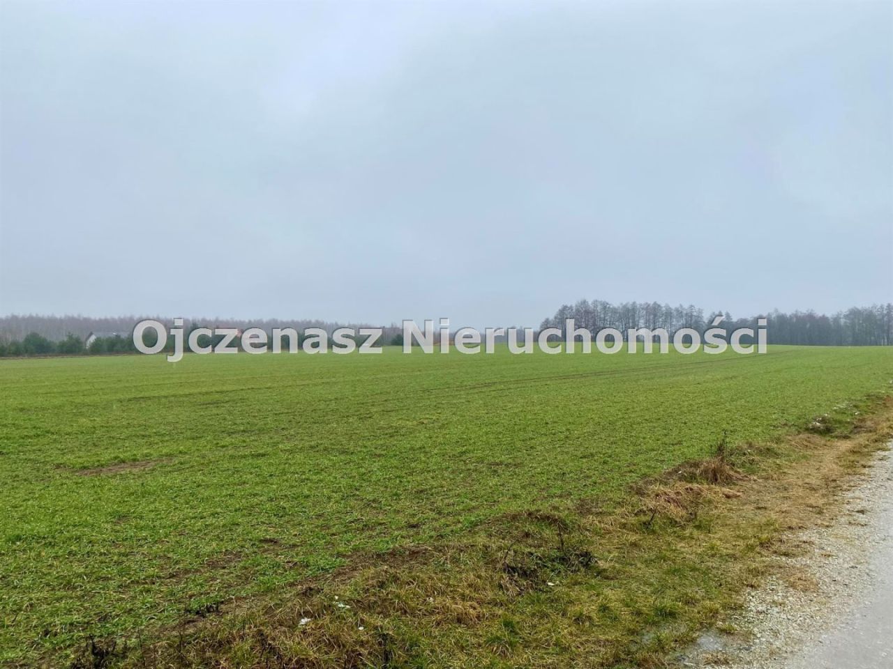 Działka inwestycyjna Gliszcz. Zdjęcie 2