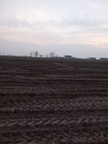 Działka budowlana Małachowice-Kolonia. Zdjęcie 1