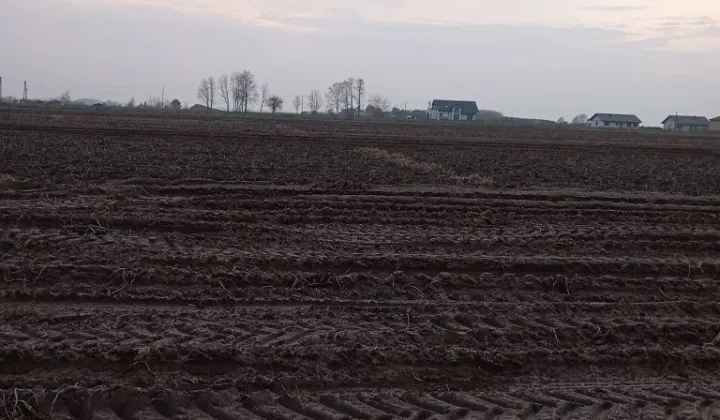 Działka budowlana Małachowice-Kolonia