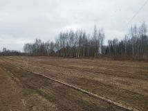 Działka rolno-budowlana Dąbrowica. Zdjęcie 1