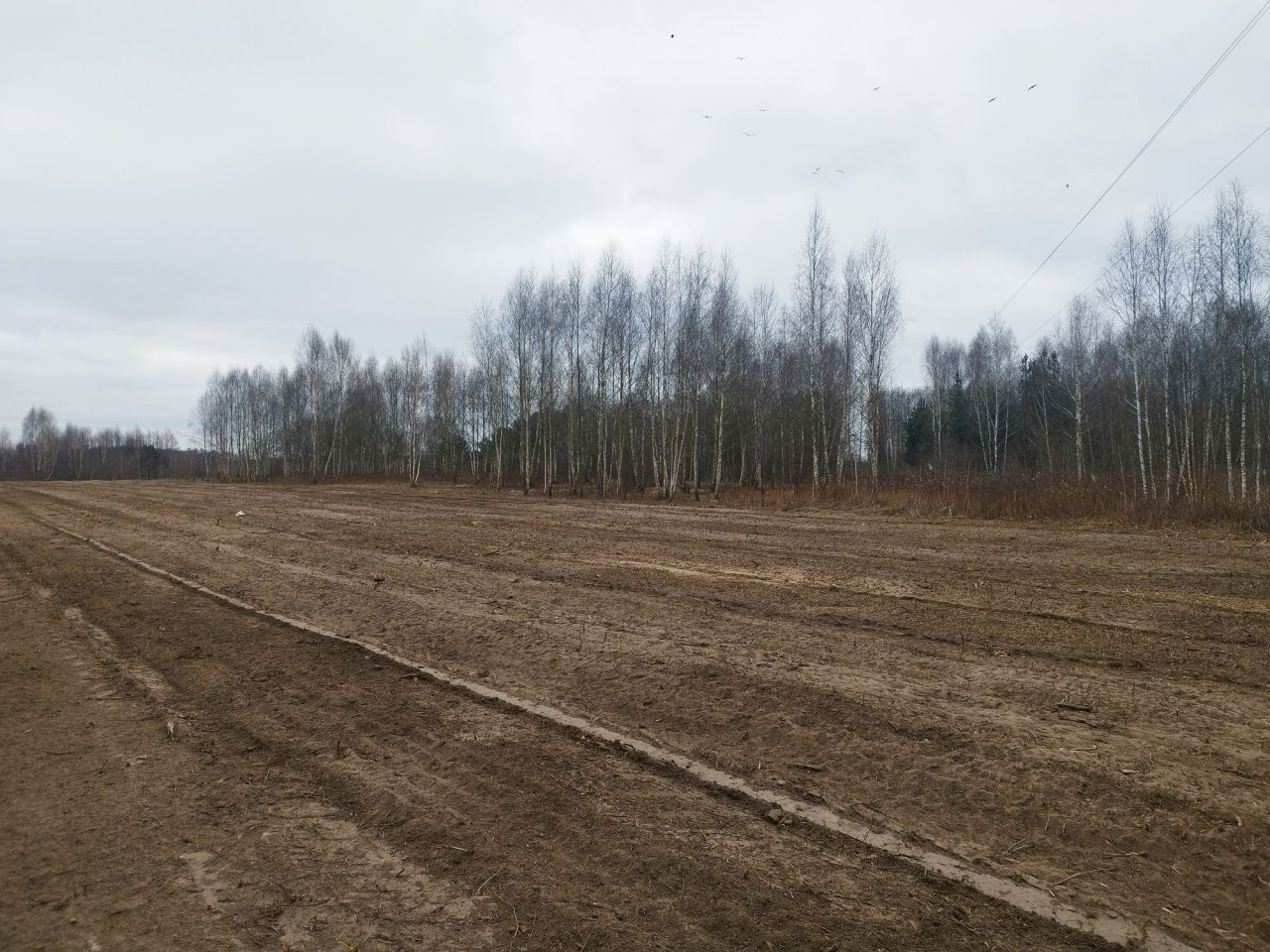 Działka rolno-budowlana Dąbrowica. Zdjęcie 2