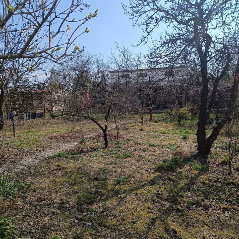 Działka rod Kalisz, ul. Borkowska. Zdjęcie 3