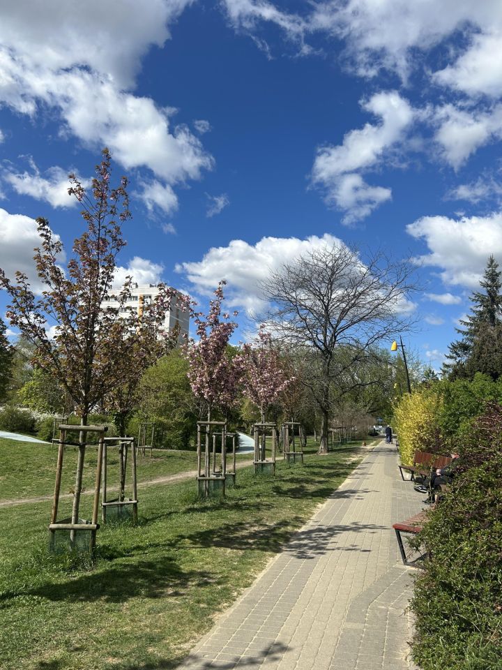 Mieszkanie 2-pokojowe Warszawa Bielany, ul. Stefana Żeromskiego. Zdjęcie 8