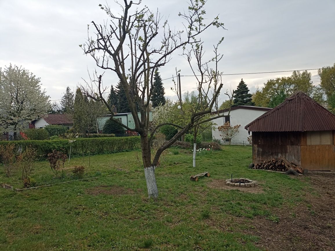 Działka rod Racibórz Brzezie. Zdjęcie 2