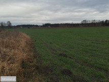 Działka budowlana Byków, ul. Robotnicza. Zdjęcie 2