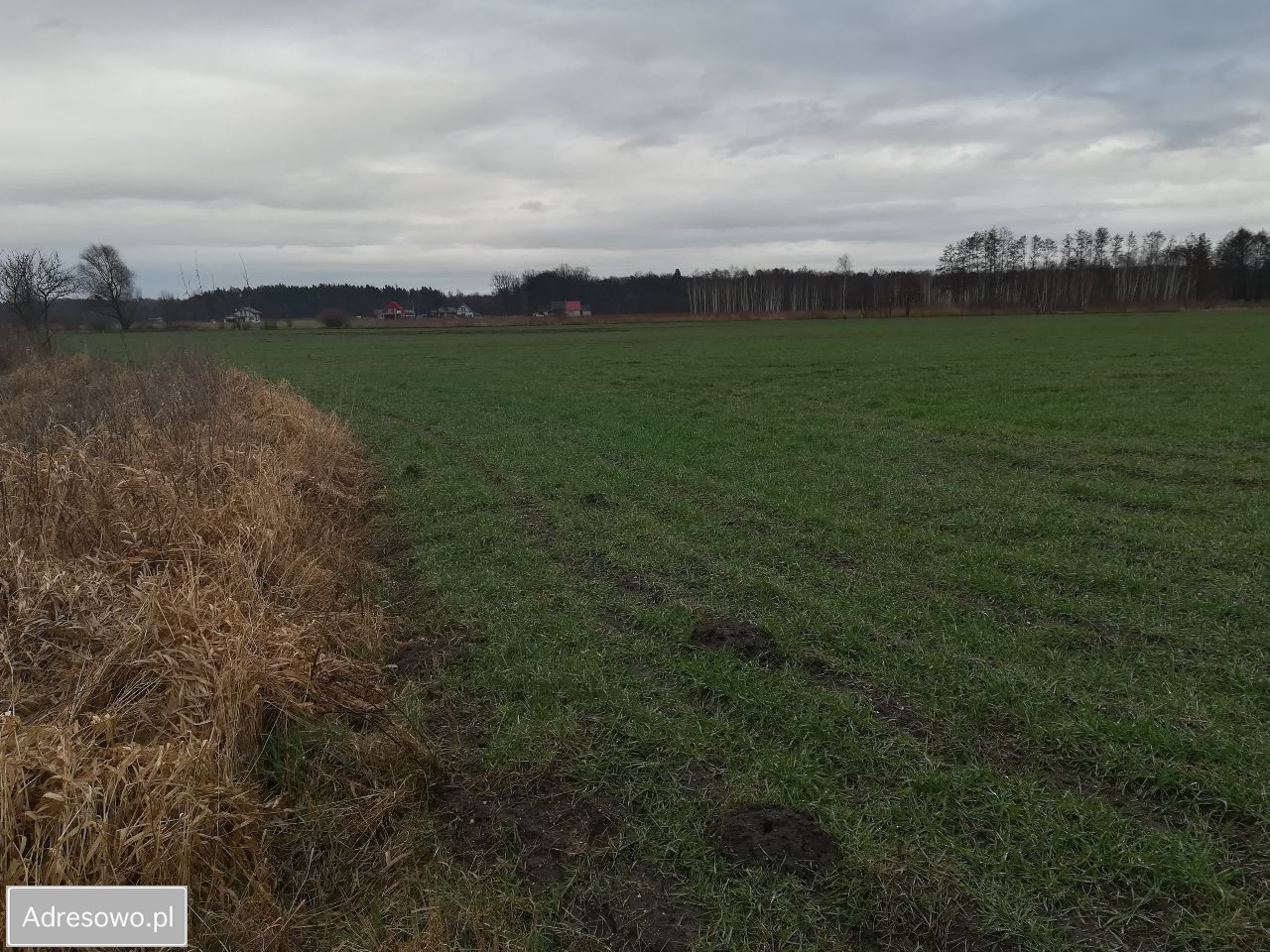 Działka budowlana Byków, ul. Robotnicza. Zdjęcie 3