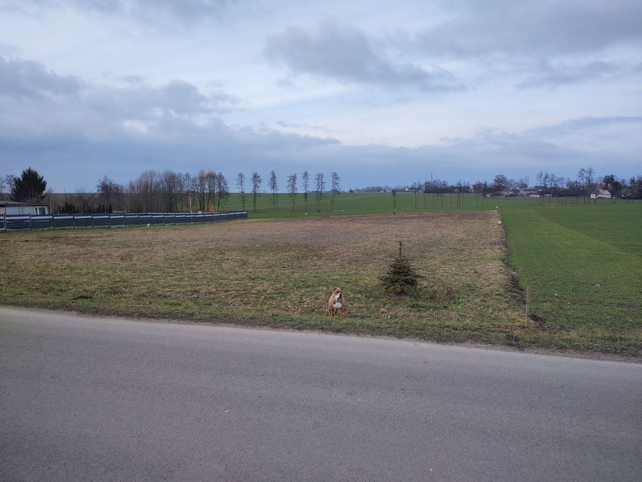 Działka budowlana Osiek Wielki. Zdjęcie 3