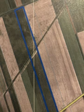 Działka rolna Wiskitki. Zdjęcie 1