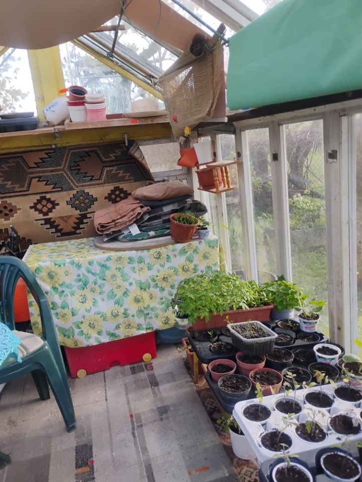 Działka rod Tarnobrzeg, ul. Kamionka. Zdjęcie 8