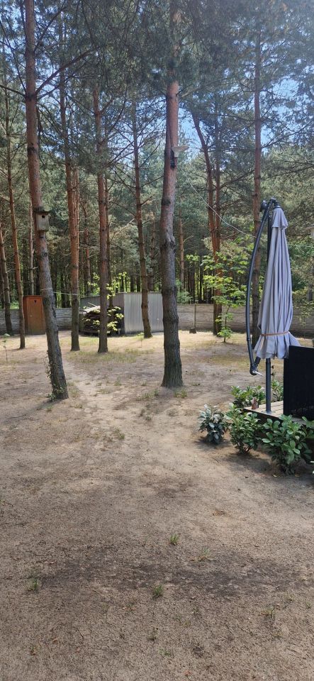 Działka budowlana Daniszewice. Zdjęcie 6